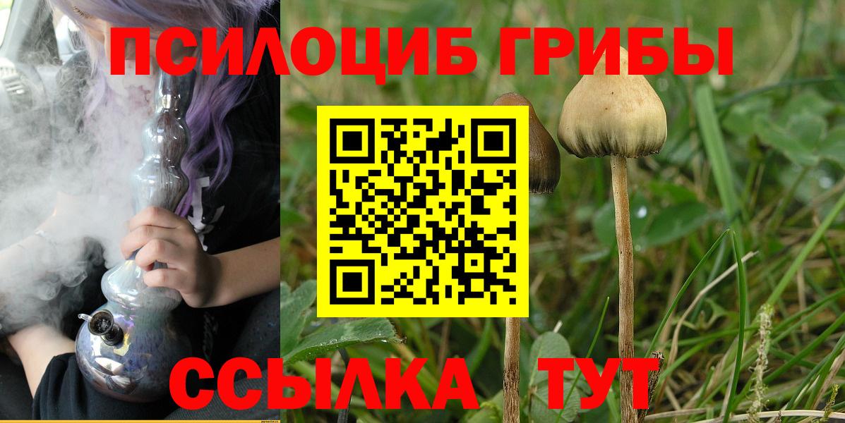 Псилоцибиновые грибы Psilocybe  Вход с VPN  Улан-Удэ 