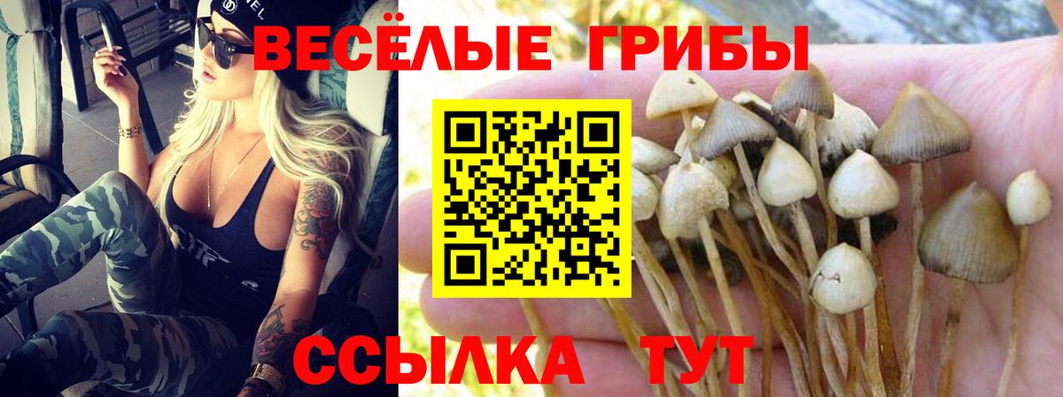 Псилоцибиновые грибы Magic Shrooms Улан-Удэ